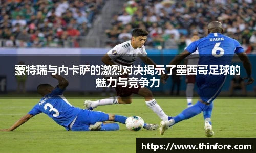 v66体育官网